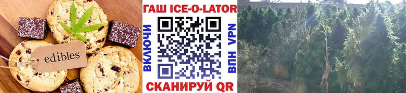 Cannafood конопля  дарнет шоп  Бузулук 