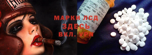 спайс Беломорск