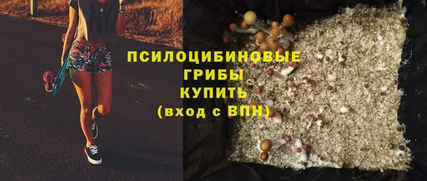 экстази Белокуриха