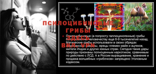дживик Белоозёрский