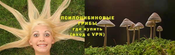 экстази Белокуриха