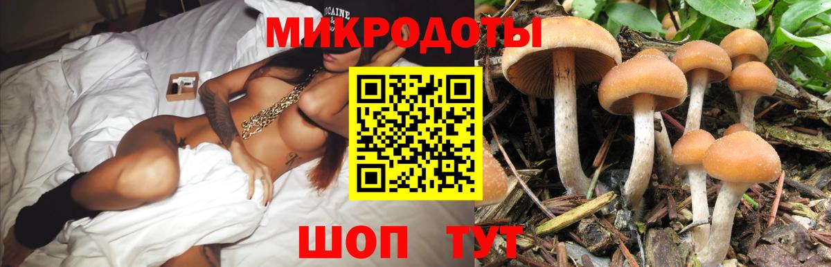 Псилоцибиновые грибы GOLDEN TEACHER  Вход с VPN  Бузулук 